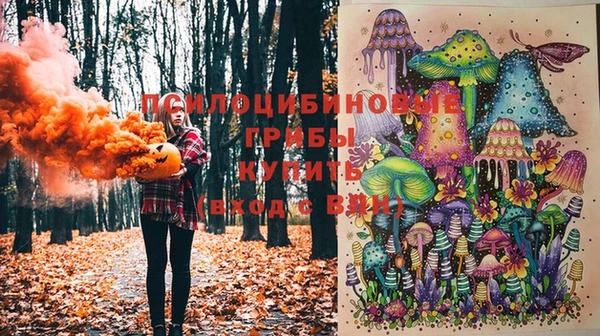 метадон Заволжск